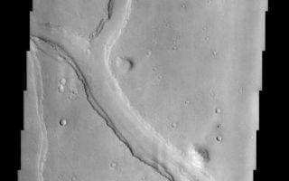 <h1>PIA03820:  Hebrus Valles</h1><div class="PIA03820" lang="en" style="width:486px;text-align:left;margin:auto;background-color:#000;padding:10px;max-height:150px;overflow:auto;"><br>(Released 3 June 2002)<br><br><b>The Science</b><br><br>Hebrus Valles is located in the Elysium Planitia region of the northern lowlands of the planet. This image shows three sinuous tributaries of the channel system which carved up the surrounding plains. These individual tributaries are up to 3 km wide and have up to three terraces visible along their margins. These terraces may indicate separate flood events or may be the result of one flood plucking away at channel wall materials with varying strengths of resistance. It is not clear if these are separate rock layers or just the erosion of one type of material from rising and falling water levels. A streamlined island is visible in the lower third of the image. This feature indicates that flow was from the lower right to upper left in this region (the tail of the island points downstream). In places ripples, interpreted to be dunes, can also be seen along the interface of the channel floor with the walls. Smaller, fainter channels can also be seen scouring the plains, especially in the lower portion of this image. Other features of note in this image are the various inselbergs (isolated hills) located primarily in the upper portion of the image. The inselbergs are surrounded with aprons of material that was probably shed off of the hills by various processes of erosion.<br><br><b>The Story</b><br><br>Mars was once the scene of some major floods that rushed out upon the land, carving all kinds of channels. These signs of ancient flooding have always been exciting to scientists who want to understand the history of water on the planet. Water is important to understanding the climate and geological history of Mars, as well as whether life could ever have developed there.<br><br>While we can't tell much about the life question from pictures like this one, it does give some insights into the great flood itself. You can see three tributaries of a channel system that are up to two miles wide or so.<br><br>The really interesting thing is that you can see terraces of land that step down from the sides of the tributaries. How did they form? Was there one massive flood that swept through, eroding materials with varying strengths of resistance? Or was it several, separate floods? And what could the answer tell us about the types of rocks and materials in this region? No one knows if these are separate rock layers or just one type of material that has eroded from rising and falling water levels.<br><br>While these questions will continue to intrigue geologists, one thing that they can tell for sure is the direction the water flowed. Can you find the tear-drop shaped island in the now dry channel? On Earth, we see these islands created in rivers all the time. The "tail" of the island (the point on the teardrop) points downstream, so that means the flood rushed down the channel from the lower right to the upper left.<br><br>Since the flood, there is some rippling evidence on the channel floor that dunes may have formed. Smaller, fainter channels can also be seen scouring the plains, especially in the lower portion of this image. Other interesting features in this image are the various inselbergs (isolated hills) located primarily in the upper portion of the image. The inselbergs are surrounded with aprons of material that was probably shed off of the hills by various processes of erosion.<br /><br /><a href="http://photojournal.jpl.nasa.gov/catalog/PIA03820" onclick="window.open(this.href); return false;" title="Voir l'image 	 PIA03820:  Hebrus Valles	  sur le site de la NASA">Voir l'image 	 PIA03820:  Hebrus Valles	  sur le site de la NASA.</a></div>