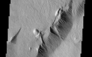 <h1>PIA03821:  Southeastern Scarp of Olympus Mons</h1><div class="PIA03821" lang="en" style="width:488px;text-align:left;margin:auto;background-color:#000;padding:10px;max-height:150px;overflow:auto;"><br>(Released 4 June 2002)<br><br><b>The Science</b><br>The movement pathways of molten rock, or lava, is demonstrated in this image of a portion of Olympus Mons, the largest volcano in our solar system. These now-solid lava flows all show nearly the same orientation, having flowed from northeast to southwest, down the slope of the volcano's southeastern flank. Throughout the image, narrow pairs of lineaments can be observed ? these are called levees, and are essentially channel walls formed by the solidification and buildup of the edges of the lava flows. We can determine that the high-standing mountains must be older than the flows because they blocked their passage, causing the flows to change direction and go around the taller mountains. As in other THEMIS images, the lack of bright-dark contrast in this image indicates that a layer of dust covers these surfaces. The surfaces of the lava flows are virtually uncratered, attesting to the relatively recent formation of the flows, where ?recent? is within the last 500 million years or so. Several meteorites found on Earth appear to have come from volcanic regions on Mars ? their ages are as young as 180 million years, leading many scientists to suggest that volcanoes of the Tharsis region, including Olympus Mons, may be the source regions of these meteorites. A prominent pear-shaped bowl is apparent on a hill in the lower right third of the image ? the collapse and mass movement of material down slope, which also formed a debris pile below and southeast of the bowl, likely formed this feature.<br><br><br><b>The Story</b><br><br>Millions and millions of years ago, a huge impact blasted a crater into the surface of Mars, sending particles of the Martian surface scattering into space at great speeds, where they spent millions and millions of years calmly in space before encountering a nearby orbiting planet: our own planet Earth. Hurtling down through Earth's atmosphere, these pieces of Mars landed in various regions of our world and were discovered by modern-day meteorite hunters. When scientists analyzed the ages and chemical composition of several meteorites, they were able to determine that these ancient space rocks came from Mars, were volcanic in origin, and were around 180 million years old.<br><br>So, where on Mars did they come from? Geologists had to turn the Martian globe, looking for volcanic areas that were relatively recent in their formation. Believe it or not, "recent" in geological terms can actually mean "180 million years young." So, where did their fingers point? To the Tharsis region, home to Olympus Mons, the largest volcano in our solar system.<br><br>The above THEMIS image hints at the young age of the lava flows around Olympus Mons. Since the surfaces of the lava flows are virtually uncratered, that means these lava flows were "relatively recent," forming within the last 500 million years or so. While no one knows for sure if the Mars meteorites came from this area, this lava-rich region seems likely as a possibility.<br><br>Always in search of relative ages of geological happenings on the red planet, geologists can also tell that the high-standing mountains in the area are older than the lava flows. You can follow the evidence too. Take a look at the mountains and the lava flows near them. The narrow, flowing lava lines throughout the image are called levees, and outline the supple contours of the channel walls that formed as the lava flows became solid and built up at the edges. Now solid, cool, and still, these lava flows once moved dramatically down the slope of the volcano's southeastern flank. It couldn't have been an entirely free flow: the mountains must have stood in their way, because it's clear that the layered flows of molten rock had to change direction and move around them.<br><br>That's not the only dramatic movement that took place here. Look also for the pear-shaped bowl on a hill in the lower right third of the image. It was formed when a huge mass of material collapsed and moved downslope, forming a debris pile below and southeast of the bowl.<br><br>Not everything that's happened in this region is ferocious, however. Because this image does not have severe black-and-white contrasts of landforms on the Martian surface, it's likely that a layer of dust has blanketed the region over time, giving it a calm uniform look that belies its angrier past.<br /><br /><a href="http://photojournal.jpl.nasa.gov/catalog/PIA03821" onclick="window.open(this.href); return false;" title="Voir l'image 	 PIA03821:  Southeastern Scarp of Olympus Mons	  sur le site de la NASA">Voir l'image 	 PIA03821:  Southeastern Scarp of Olympus Mons	  sur le site de la NASA.</a></div>