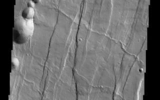 <h1>PIA03836:  Tantalus Fossae</h1><div class="PIA03836" lang="en" style="width:474px;text-align:left;margin:auto;background-color:#000;padding:10px;max-height:150px;overflow:auto;"><br>(Released 25 June 2002)<br><br><b>The Science</b><br>Tantalus Fossae is a set of long valleys on the eastern side of Alba Patera. These valleys are referred to as grabens and are formed by extension of the crust and faulting. When large amounts of pressure or tension are applied to rocks on timescales that are fast enough that the rock cannot respond by deforming, the rock breaks along faults. In the case of a graben, two parallel faults are formed by extension of the crust and the rock in between the faults drops downward into the space created by the extension. Numerous sets of grabens are visible in this THEMIS image, trending from north-northeast to south-southwest. Because the faults defining the graben are formed parallel to the direction of the applied stress, we know that extensional forces were pulling the crust apart in the west-northwest/east-southeast direction. The large number of grabens around Alba Patera is generally believed to be the result of extensional forces associated with the uplift of Alba Patera. Also visible in this image are a series of linearly aligned pits, called a pit chain. The pits are not the result of impact cratering, but are similar to sinkholes on Earth. Sinkholes are typically formed by the removal of rock (commonly limestone) underground by groundwater -- when enough rock is removed, the overlying rock becomes too heavy to be supported, and it collapses, forming a pit. Unlike sinkholes, however, the pit chains near Alba Patera were likely formed when empty underground lava tubes collapsed, accounting for the presence and alignment of many pits. Numerous channel features are also observed in the image, and follow the local topographic slope, which is downhill to the east-southeast. One of these, a long channel in the center of the image, nicely demonstrates the complex relations possible between geologic features. The geologist's rule of superposition says that a feature on top of (superposing) another feature, or cutting across another feature is younger than the feature it covers or cuts. In one location, the channel cuts across the somewhat subdued fault defining a graben (near the right side of the image), indicating that the channel was carved after the graben was formed. But in other places (near the center of the image), the channel is clearly cut by a large fault defining one of the grabens, indicating that some faulting was occurring after the channel was carved. These relationships can be observed throughout this image. By mapping out superposition relationships in detail, geologists can establish a complex sequence of events that occurred long ago.<br><br><b>The Story</b><br>The first thing that catches your eye in the image above is a string of round pits that are strewn dramatically on the surface. Although they may look like craters, nothing came hurtling in from the sky to make them. Instead, collapses along a lava tube have created this long dotted line on the Martian surface. The lava tube, a hollow feature beneath the surface, can't always withstand the weight from above, and so collapses in places, forming pits like the ones seen here.<br><br>Throughout the rest of the image are a series of depressed valleys known as grabens that run roughly from the northeast to the southwest. They formed when the crust of the Martian surface was stretched so fast that it broke along faults. When that happened, the rock in between fell downward into the space created by the extension, creating the long subtle streaks of lowered terrain. They were probably created when Alba Patera, the shield volcano of this area, was elevated or "uplifted" through tectonic forces.<br><br>This area of long valleys is named after Tantalus, a king of ancient Lydia who, according to legend, betrayed the gods and was sent to Hades. In this subterranean place, he was forced to stand in water up to his chin underneath the branches of fruit trees. Every time he tried to drink, the water would recede, and every time he tried to eat, the boughs would move the fruit just out of reach. You can easily see where the word "tantalize" comes from.<br><br>Scientists are intrigued so much by the history of this area that they seek to understand its elusive past. Luckily, their interests are much more in reach than those of poor Tantalus. A number of channels in this image (running downhill from the west-northwest to the east-southeast) help them understand the chain of events that worked to create the compelling features in this region.<br><br>Take a look at the channels close-up and see if you can tell whether the channels or the grabens happened first. A rule of thumb is that if one feature is on top of another or cuts across it, it is younger than the feature it covers or cuts. One of the channels in the center of the image is great to study. Toward the right side of the image, the channel cuts across a fault, indicating it formed before the graben. Follow the channel westward, however, and you'll see that a large fault cuts the channel, indicating that this graben formed after the channel. That probably means this criss-crossed region went through a seeming eternity of torture itself, as the land kept tearing and stretching, as channels were carved and recarved, as lava tubes formed and then finally collapsed, only to have their walls erode in further streaks as well.<br /><br /><a href="http://photojournal.jpl.nasa.gov/catalog/PIA03836" onclick="window.open(this.href); return false;" title="Voir l'image 	 PIA03836:  Tantalus Fossae	  sur le site de la NASA">Voir l'image 	 PIA03836:  Tantalus Fossae	  sur le site de la NASA.</a></div>