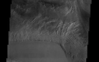 <h1>PIA03838:  Candor Chasma</h1><div class="PIA03838" lang="en" style="width:488px;text-align:left;margin:auto;background-color:#000;padding:10px;max-height:150px;overflow:auto;"><a href="/figures/PIA03838-context.jpg"></a><br>(Released 27 June 2002)<br><b>The Science</b><br><br>This THEMIS visible image shows the effects of erosion on a beautiful sequence of dramatically layered rocks within Candor Chasma, which is part of the Valles Marineris. These layers were initially deposited within Candor, and have subsequently been eroded by a variety of processes, including wind and downslope motion due to gravity. The effect of erosion is manifest differently in the different layers and at different locations within the layered material. For example, the upper portion of the Candor deposit seen in the lower one-third of the image appears more intact, whereas downslope there is pronounced fluting to create produced "spur and gully" slopes. Relatively dark materials are seen throughout the image and appear to mantle select areas of the layered deposits. When seen in other areas by THEMIS, and at higher resolution by the Mars Global Surveyor camera, these dark materials often form sand dunes. The dark mantling material in Candor is likely dark sand as well. Several particularly dark patches can be seen near the left (western) edge of the image, approximately one quarter of the way up from the bottom of the image. Very few impact craters of any size can be seen in this image, indicating that the erosion and transport of material is occurring at a relatively rapid rate, so that any craters that form are rapidly buried or eroded.<br><br><b>The Story</b><br>The smooth, triangular shape near the center of this image is the plateau of a canyon, with walls that dramatically descend on either side. This canyon is named Chasma, which means "blaze" or "white" in Latin. The lighter, brighter material of the southern canyon wall displays erosional streaks that almost do happen to look like a white blaze.<br><br>Toward the bottom left of the image, you can see how the relatively brighter material from the top has been carried down to the bottom. Notice that the upper, grayer part of the southern canyon walls don't seem to have the same erosional flutes as the brighter material just below it. By looking at such differences on the same canyon wall, geologists can begin to understand the kinds of materials that make up each layer of the canyon wall, and how resistant each is to erosion.<br><br>No matter what part of the canyon you look at, erosion has created the beautiful sequence of layered rocks within Candor. Sometimes it's the wind that acts, and sometimes gravity, which pulls material from the upper parts of the canyon downslope. Be sure to click on the above image for a close-up view of all of the subtle layers and ripples.<br><br>Look also for some dark, almost black patches (bottom left, about a quarter of the way up). These dark splotches are most likely made of sand. In fact, much of the darker areas seen in this image are probably made of sand. The sand often forms in dunes, as both THEMIS and the higher resolution camera on Mars Global Surveyor, Odyssey's sister orbiter, have shown.<br><br>With all of the wind and downslope erosion, this area is fairly active geologically. You can tell because there are very few impact craters of any size to be seen. That means material is being transported at a rate that's rapid enough to bury or erode any craters that do form.<br><br>Candor Chasma is part of Valles Marineris, the large canyon system that slices across a large part of the red planet. If Valles Marineris were located on Earth, it would stretch all the way from the west coast to the east coast of the United States.<br><br /><br /><a href="http://photojournal.jpl.nasa.gov/catalog/PIA03838" onclick="window.open(this.href); return false;" title="Voir l'image 	 PIA03838:  Candor Chasma	  sur le site de la NASA">Voir l'image 	 PIA03838:  Candor Chasma	  sur le site de la NASA.</a></div>