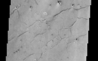 <h1>PIA03906:  Acidalia Planitia</h1><div class="PIA03906" lang="en" style="width:510px;text-align:left;margin:auto;background-color:#000;padding:10px;max-height:150px;overflow:auto;"><a href="/figures/PIA03906a-context.jpg"></a><br>(Released 25 July 2002)<br>The lineations seen in this THEMIS visible image occur in Acidalia Planitia, and create what is referred to as "patterned ground" or "polygonal terrain." The lineations are fissures, or cracks in the ground and are possibly evidence that there was once subsurface ice or water in the region. On Earth, similar features occur when ice or water is removed from the subsurface. The removal of material causes the ground to slump, and the surface expression of this slumping is the presence of these fissures, which tend to align themselves along common orientations, and in some cases, into polygonal shapes. There are other hypotheses, not all of which involve liquid or frozen water, regarding the formation of patterned ground. Desiccation of wet soils on Earth forms mud cracks, which are similar in appearance to the martian features, but occur on a much smaller scale. Alternatively, oriented cracks form when lava flows cool. The cracks formed by this process would be on about the same scale as those seen in this image.<br><br>The best example of polygonal terrain occurs about halfway down the image. The largest fractures, as in other places in the image, run from the lower left to the upper right of the image. In some cases, though, smaller fractures occur in other orientations, creating the polygonal terrain. Scientists have been aware of these features on the surface of Mars since the Viking era, but the THEMIS visible camera will allow scientists to map these features at higher resolution with more coverage over the high latitude regions where they are most common, perhaps giving further insight into the mechanism(s) of their formation.<br /><br /><a href="http://photojournal.jpl.nasa.gov/catalog/PIA03906" onclick="window.open(this.href); return false;" title="Voir l'image 	 PIA03906:  Acidalia Planitia	  sur le site de la NASA">Voir l'image 	 PIA03906:  Acidalia Planitia	  sur le site de la NASA.</a></div>