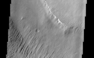 <h1>PIA03908:  Yardangs in Medusa Fossae</h1><div class="PIA03908" lang="en" style="width:488px;text-align:left;margin:auto;background-color:#000;padding:10px;max-height:150px;overflow:auto;"><a href="/figures/PIA03908a-context.jpg"></a><br>(Released 29 July 2002)<br>This THEMIS visible image covers a portion of the Medusa Fossae formation, near the equator of Mars. The most characteristic feature of the Medusa Fossae formation is the abundance of "yardangs," which are erosional landforms carved by the wind. These features usually form in a linear fashion, and can be indicators of prevailing paleowind directions. On Earth, yardangs are typically found in rocks that are easily eroded, such as those that form from consolidated volcanic ash, dust-fall deposits or lake sediments.</p><p>In this particular area of Medusa Fossae, the size, spacing, and orientation of the yardangs varies throughout the image. The largest form a stripe across the center of the image, while the smallest are found in the top half of the image (look closely). The small yardangs at the very top of the image are oriented NW-SE; however, the orientation changes to NE-SW near the bright ridge in the center of the image. The variation in size and orientation appears to correspond with topographic layers, and may be due either to differences in consolidation or changes in wind strength or direction as the yardangs were formed. Finally, the terrain in the lower third of the image appears etched or pitted, and was probably also formed by wind erosion.<br /><br /><a href="http://photojournal.jpl.nasa.gov/catalog/PIA03908" onclick="window.open(this.href); return false;" title="Voir l'image 	 PIA03908:  Yardangs in Medusa Fossae	  sur le site de la NASA">Voir l'image 	 PIA03908:  Yardangs in Medusa Fossae	  sur le site de la NASA.</a></div>