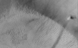 <h1>PIA03917:  A Dust Devil Making a Streak and Climbing a Crater Wall</h1><div class="PIA03917" lang="en" style="width:407px;text-align:left;margin:auto;background-color:#000;padding:10px;max-height:150px;overflow:auto;">MGS MOC Release No. MOC2-318, 8 August 2002<br><br><a href="/figures/PIA03917-context.gif"></a><br>One of the key elements of the Mars Global Surveyor (MGS) Mars Orbiter Camera (MOC) Extended Mission is to look for and monitor changes taking place on the planet over the course of a second--and, eventually, a third--martian year. MGS is now well into its second Mars year, which will draw to a close in December 2002. Among the changes the MOC has observed are streaks believed to be caused by the passage of dust devils. Thousands of MOC images show these streaks, dozens show that they change over time, but far fewer images have actually captured a dust devil in the act of creating a streak. At the center right of this image (above left) is a dust devil that, on May 21, 2002, was seen climbing the wall of a crater at 4.1°S, 9.5°W. This crater (above right) is in western Terra Meridiani. The dust devil was moving toward the northeast (upper right), leaving behind a dark trail where a thin coating of surficial dust was removed or disrupted as the dust devil advanced. Dust devils most commonly form after noon on days when the martian air is still (that is, when there isn't even a faint breeze). On such days, the ground is better able to heat up the air immediately above the surface. As the warmed near-surface air begins to rise, it also begins to spin, creating a vortex. The spinning column then moves across the surface and picks up loose dust (if any is present). The dust makes the vortex visible and gives it a tornado-like appearance. The dust devil in this image has a very short, dark shadow cast to the right of the bright column; this shadow is short because the sun was nearly overhead.<br /><br /><a href="http://photojournal.jpl.nasa.gov/catalog/PIA03917" onclick="window.open(this.href); return false;" title="Voir l'image 	 PIA03917:  A Dust Devil Making a Streak and Climbing a Crater Wall	  sur le site de la NASA">Voir l'image 	 PIA03917:  A Dust Devil Making a Streak and Climbing a Crater Wall	  sur le site de la NASA.</a></div>