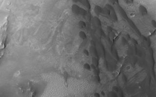 <h1>PIA03944:  Arabian Dunes</h1><div class="PIA03944" lang="en" style="width:800px;text-align:left;margin:auto;background-color:#000;padding:10px;max-height:150px;overflow:auto;"><p>11 June 2005<br />This Mars Global Surveyor (MGS) Mars Orbiter Camera (MOC) image shows a field of low-albedo (dark) barchan sand dunes in a crater located in western Arabia Terra. Small dunes like these are common in the craters of western Arabia Terra and they are often the source of finer, dark sediment that forms windstreaks further downwind. The steepest slopes on the dunes, their slipfaces, are pointed toward the southeast (lower right), indicating that the dominant winds in this location come from the opposite direction.</p><p>Location near: 6.4°N, 346.2°W <br />Image width: ~3 km (~1.9 mi <br />Illumination from: lower left <br />Season: Northern Autumn <br /></p><br /><br /><a href="http://photojournal.jpl.nasa.gov/catalog/PIA03944" onclick="window.open(this.href); return false;" title="Voir l'image 	 PIA03944:  Arabian Dunes	  sur le site de la NASA">Voir l'image 	 PIA03944:  Arabian Dunes	  sur le site de la NASA.</a></div>