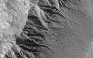 <h1>PIA03953:  Gullied Crater Wall</h1><div class="PIA03953" lang="en" style="width:601px;text-align:left;margin:auto;background-color:#000;padding:10px;max-height:150px;overflow:auto;"><p>16 June 2005<br />This Mars Global Surveyor (MGS) Mars Orbiter Camera (MOC) image shows gullies in the southeast-facing wall of an impact crater in northwestern Acidalia Planitia. Gullies are common in southern middle-latitude craters, and much less common in cases like the one shown here, found at a northern middle latitude. Debate continues within the Mars science community as to the origin of the gullies, whether by groundwater, melting ice or snow, or an alternative fluid such as carbon dioxide.</p><p>Location near: 41.4°N, 44.8°W <br />Image width: ~3 km (~1.9 mi) <br />Illumination from: lower left <br />Season: Northern Autumn <br /></p><br /><br /><a href="http://photojournal.jpl.nasa.gov/catalog/PIA03953" onclick="window.open(this.href); return false;" title="Voir l'image 	 PIA03953:  Gullied Crater Wall	  sur le site de la NASA">Voir l'image 	 PIA03953:  Gullied Crater Wall	  sur le site de la NASA.</a></div>