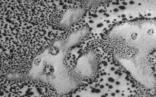 <h1>PIA03956:  Defrosting Sand</h1><div class="PIA03956" lang="en" style="width:672px;text-align:left;margin:auto;background-color:#000;padding:10px;max-height:150px;overflow:auto;"><p>19 June 2005<br />This Mars Global Surveyor (MGS) Mars Orbiter Camera (MOC) image shows dark spots formed in carbon dioxide frost that covers the surfaces of patches of sand in the south polar region. As spring arrived this year in the martian southern hemisphere, so began the annual defrosting process. The fact that sand dunes begin to defrost earlier than other surfaces, and that the defrosting process involves the formation of spots like these, has been known since the earliest days of the MGS mission.</p><p>Location near: 66.8°S, 15.7°W <br />Image width: ~3 km (~1.9 mi) <br />Illumination from: upper left <br />Season: Southern Spring <br /></p><br /><br /><a href="http://photojournal.jpl.nasa.gov/catalog/PIA03956" onclick="window.open(this.href); return false;" title="Voir l'image 	 PIA03956:  Defrosting Sand	  sur le site de la NASA">Voir l'image 	 PIA03956:  Defrosting Sand	  sur le site de la NASA.</a></div>