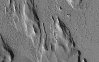 <h1>PIA03969:  South Amazonis Yardangs</h1><div class="PIA03969" lang="en" style="width:606px;text-align:left;margin:auto;background-color:#000;padding:10px;max-height:150px;overflow:auto;"><p>27 June 2005<br />This Mars Global Surveyor (MGS) Mars Orbiter Camera (MOC) image shows classic yardangs, landforms created by wind erosion in southern Amazonis Planitia. The boat-shaped mesa, in particular, is a classic example of a yardang landform. Yardangs are found on both Earth and Mars.</p><p>Location near: 11.2°N, 162.2°W <br />Image width: ~3 km (~1.9 mi) <br />Illumination from: lower left <br />Season Northern Autumn <br /></p><br /><br /><a href="http://photojournal.jpl.nasa.gov/catalog/PIA03969" onclick="window.open(this.href); return false;" title="Voir l'image 	 PIA03969:  South Amazonis Yardangs	  sur le site de la NASA">Voir l'image 	 PIA03969:  South Amazonis Yardangs	  sur le site de la NASA.</a></div>