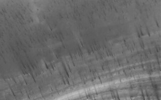 <h1>PIA03974:  Defrosting Terrain</h1><div class="PIA03974" lang="en" style="width:588px;text-align:left;margin:auto;background-color:#000;padding:10px;max-height:150px;overflow:auto;"><p>29 June 2005<br />This Mars Global Surveyor (MGS) Mars Orbiter Camera (MOC) image shows dark spots and streaks formed in seasonal frost covering terrain in the martian south polar region. This springtime image shows the frost, which formed in the previous autumn and winter, as it is starting to change and sublime away. Dark streaks indicate the direction of winds that have moved some of the defrosting material.</p><p>Location near: 84.7°S, 259.3°W<br />Image width: ~3 km (~1.9 mi) <br />Illumination from: upper left <br />Season Southern Spring </p><br /><br /><a href="http://photojournal.jpl.nasa.gov/catalog/PIA03974" onclick="window.open(this.href); return false;" title="Voir l'image 	 PIA03974:  Defrosting Terrain	  sur le site de la NASA">Voir l'image 	 PIA03974:  Defrosting Terrain	  sur le site de la NASA.</a></div>