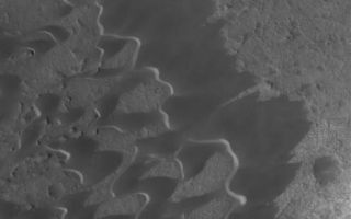 <h1>PIA03986:  Nili Patera Dunes</h1><div class="PIA03986" lang="en" style="width:492px;text-align:left;margin:auto;background-color:#000;padding:10px;max-height:150px;overflow:auto;"><p>6 July 2005<br />This Mars Global Surveyor (MGS) Mars Orbiter Camera (MOC) image shows dark, windblown sand dunes in the caldera of Nili Patera, a volcanic crater in Syrtis Major. The dunes were formed by winds blowing from the northeast (upper right).</p><p>Location near: 9.0°N, 292.9°W<br />Image width: ~3 km (~1.9 mi) <br />Illumination from: lower left <br />Season Northern Autumn</p><br /><br /><a href="http://photojournal.jpl.nasa.gov/catalog/PIA03986" onclick="window.open(this.href); return false;" title="Voir l'image 	 PIA03986:  Nili Patera Dunes	  sur le site de la NASA">Voir l'image 	 PIA03986:  Nili Patera Dunes	  sur le site de la NASA.</a></div>
