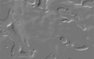 <h1>PIA03997:  The Changing South Polar Cap of Mars: 1999-2005</h1><div class="PIA03997" lang="en" style="width:800px;text-align:left;margin:auto;background-color:#000;padding:10px;max-height:150px;overflow:auto;"><p>13 July 2005<br />The south polar residual cap of Mars is composed of layered, frozen carbon dioxide. In 1999, the Mars Global Surveyor (MGS) Mars Orbiter Camera (MOC) showed that the carbon dioxide layers have been eroded to form a variety of circular pits, arcuate scarps, troughs, buttes, and mesas. In 2001, MOC images designed to provide repeated views of the areas imaged in 1999 -- with the hope of creating stereo (3-D) images, so that the height of scarps and depth of pits could be measured -- showed that the scarps had retreated, pits enlarged, and buttes and mesas shrank. Only carbon dioxide is volatile enough in the martian environment to have caused such dramatic changes -- the scarps were seen to retreat at an average rate of 3 meters (about 3 yards) per Mars year. Most of the scarp retreat occurs during the southern summer season; in some areas the scarps move as much as 8 meters, in others, only 1 meter per Mars year.</p><p>Three Mars years have now elapsed since MOC first surveyed the south polar cap in 1999. Over the past several months, MGS MOC has been re-imaging areas that were seen in 1999, 2001, and 2003, to develop a detailed look at how the landscape has been changing. This animated GIF provides an example of the dramatic changes that have occurred during the past three martian years. The first image, a sub-frame of M09-05244, was acquired on 21 November 1999. The second image, a sub-frame of S06-00973, was obtained on 11 May 2005. The animation shows the changes that have occurred between 1999 and 2005. Each summer, the cap has lost more carbon dioxide. This may mean that the carbon dioxide content of the martian atmosphere has been increasing, bit by very tiny little bit, each of the years that MGS has been orbiting the red planet. These observations also imply that there was once a time, in the not-too-distant past (because there are no impact craters on the polar cap), when the atmosphere was somewhat thinner and colder, to permit the layers of carbon dioxide to form in the first place. Just as Earth's environment is very different today than it was just 11,000 or so years ago, the martian environment has also been changing on a similar time scale.</p><p>Location near: 88.9°S, 25.7°W <br />Image width: width: ~0.6 km (~0.4 mi) <br />Illumination from: upper left <br />Season: Southern Spring</p><br /><br /><a href="http://photojournal.jpl.nasa.gov/catalog/PIA03997" onclick="window.open(this.href); return false;" title="Voir l'image 	 PIA03997:  The Changing South Polar Cap of Mars: 1999-2005	  sur le site de la NASA">Voir l'image 	 PIA03997:  The Changing South Polar Cap of Mars: 1999-2005	  sur le site de la NASA.</a></div>