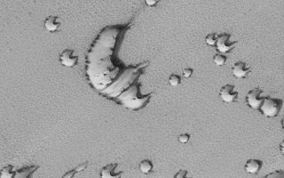 <h1>PIA04052:  Defrosting North Polar Dunes</h1><div class="PIA04052" lang="en" style="width:800px;text-align:left;margin:auto;background-color:#000;padding:10px;max-height:150px;overflow:auto;">MGS MOC Release No. MOC2-323, 12 December 2002<p>Each spring as the sun comes up over the polar regions, the seasonal frosts that have accumulated there during winter begin to sublime away. Dunes are among the first features to show spots and streaks resulting from the defrosting process. Unknown is whether the dark spots and streaks are sand (from the dune) that has been mobilized by wind, or frost that has become disrupted and coarse-grained (coarse grains of ice can look darker than fine grains). This Mars Global Surveyor (MGS) Mars Orbiter Camera (MOC) image shows north polar dunes near 76.6°N, 255.9°W in early spring. The image, acquired in June 2002, is 3 km (1.9 mi) across. Sunlight illuminates the scene from the lower left.<p><br /><br /><a href="http://photojournal.jpl.nasa.gov/catalog/PIA04052" onclick="window.open(this.href); return false;" title="Voir l'image 	 PIA04052:  Defrosting North Polar Dunes	  sur le site de la NASA">Voir l'image 	 PIA04052:  Defrosting North Polar Dunes	  sur le site de la NASA.</a></div>