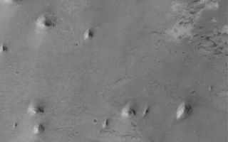 <h1>PIA04125:  Sedimentary Rock Remnants</h1><div class="PIA04125" lang="en" style="width:758px;text-align:left;margin:auto;background-color:#000;padding:10px;max-height:150px;overflow:auto;"><p>29 July 2005<br />This Mars Global Surveyor (MGS) Mars Orbiter Camera (MOC) image shows knobs of remnant, wind-eroded, layered sedimentary rock that once completely covered the floor of a crater located west of the Sinus Meridiani region of Mars. Sedimentary rock outcrops are common throughout the Sinus Meridiani region and its surrounding cratered terrain.</p><p>Location near: 2.2°N, 7.9°W <br />Image width: width: ~3 km (~1.9 mi) <br />Illumination from: lower left <br />Season: Northern Autumn</p><br /><br /><a href="http://photojournal.jpl.nasa.gov/catalog/PIA04125" onclick="window.open(this.href); return false;" title="Voir l'image 	 PIA04125:  Sedimentary Rock Remnants	  sur le site de la NASA">Voir l'image 	 PIA04125:  Sedimentary Rock Remnants	  sur le site de la NASA.</a></div>