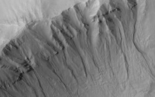 <h1>PIA04146:  Martian Gullies</h1><div class="PIA04146" lang="en" style="width:800px;text-align:left;margin:auto;background-color:#000;padding:10px;max-height:150px;overflow:auto;"><p>13 August 2005<br />This Mars Global Surveyor (MGS) Mars Orbiter Camera (MOC) image shows gullies cut into layered rock and debris on the wall of a south middle-latitude crater. Gullies such as these are common at middle latitudes and may have required water to form.</p><p>Location near: 41.1°S, 204.8°W <br />Image width: width: ~3 km (~1.9 mi) <br />Illumination from: upper left <br />Season: Southern Spring </p><br /><br /><a href="http://photojournal.jpl.nasa.gov/catalog/PIA04146" onclick="window.open(this.href); return false;" title="Voir l'image 	 PIA04146:  Martian Gullies	  sur le site de la NASA">Voir l'image 	 PIA04146:  Martian Gullies	  sur le site de la NASA.</a></div>