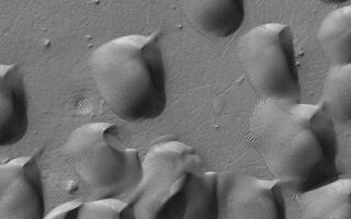 <h1>PIA04273:  Wirtz Crater Dune Field</h1><div class="PIA04273" lang="en" style="width:540px;text-align:left;margin:auto;background-color:#000;padding:10px;max-height:150px;overflow:auto;"><p>This picture of sand dunes in Wirtz Crater was obtained by the Mars Global Surveyor (MGS) Mars Orbiter Camera (MOC) in early October 2002. The shape of the dunes indicates that wind has been transporting the sand from the southwest toward the northeast (lower left toward upper right). The picture covers an area about 3 km (1.9 mi) wide and is located near 48.6°S, 25.5°W. Sunlight illuminates the scene from the upper left.</p><br /><br /><a href="http://photojournal.jpl.nasa.gov/catalog/PIA04273" onclick="window.open(this.href); return false;" title="Voir l'image 	 PIA04273:  Wirtz Crater Dune Field	  sur le site de la NASA">Voir l'image 	 PIA04273:  Wirtz Crater Dune Field	  sur le site de la NASA.</a></div>