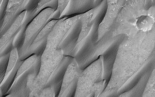 <h1>PIA04472:  Grooved Herschel Dunes</h1><div class="PIA04472" lang="en" style="width:540px;text-align:left;margin:auto;background-color:#000;padding:10px;max-height:150px;overflow:auto;">MGS MOC Release No. MOC2-335, 19 April 2003<p>This Mars Global Surveyor (MGS) Mars Orbiter Camera (MOC) image portrays the dark, somewhat cemented, wind-scoured sand dunes of central Herschel Crater. The picture covers an area about 3 km (1.9 mi) wide near 15.7°S, 228.8°W. Sunlight illuminates the scene from the upper left.<p><br /><br /><a href="http://photojournal.jpl.nasa.gov/catalog/PIA04472" onclick="window.open(this.href); return false;" title="Voir l'image 	 PIA04472:  Grooved Herschel Dunes	  sur le site de la NASA">Voir l'image 	 PIA04472:  Grooved Herschel Dunes	  sur le site de la NASA.</a></div>