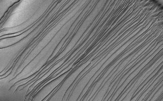 <h1>PIA04484:  Russell Dune Gullies</h1><div class="PIA04484" lang="en" style="width:540px;text-align:left;margin:auto;background-color:#000;padding:10px;max-height:150px;overflow:auto;">MGS MOC Release No. MOC2-343, 27 April 2003<p>This Mars Global Surveyor (MGS) Mars Orbiter Camera (MOC) image shows the mysterious dune gullies of Russell Crater. The terrain shown here is one very large sand dune; the surface slopes from upper right toward lower left. Gullies start on the slope at the upper right and indicate flow toward the lower left. These might have formed by the presence of a fluid-either liquid or gas-mixed with sand that avalanched down the dune slope. Or not. Their origin is unknown, although it is known that they tend to occur only on slopes facing southward. The MOC team has re-imaged these gullies several times in the past three Mars years, but no new gullies have formed. The picture covers an area about 3 km (1.9 mi) wide near 54.5°S, 347.3°W. Sunlight illuminates the scene from the upper left.<p><br /><br /><a href="http://photojournal.jpl.nasa.gov/catalog/PIA04484" onclick="window.open(this.href); return false;" title="Voir l'image 	 PIA04484:  Russell Dune Gullies	  sur le site de la NASA">Voir l'image 	 PIA04484:  Russell Dune Gullies	  sur le site de la NASA.</a></div>