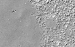 <h1>PIA04514:  Martian "Ground Rot"</h1><div class="PIA04514" lang="en" style="width:540px;text-align:left;margin:auto;background-color:#000;padding:10px;max-height:150px;overflow:auto;">MGS MOC Release No. MOC2-355, 9 May 2003<p>This Mars Global Surveyor (MGS) Mars Orbiter Camera (MOC) image shows a typical southern mid-latitude surface at very high resolution. The smooth-surfaced material (mostly on the left and lower left sides of the image) erodes and breaks down into the knobby terrain (seen at the top and right). The exact cause of this degradation of smooth-surfaced material at middle latitudes is unknown. One speculation is that the materials are a mixture of water ice, dust, and silt; when the ice sublimes away, it leaves behind the knobby terrain. The image is located near 37.0°S, 84.0°W. Sunlight illuminates the scene from the upper left.<p><br /><br /><a href="http://photojournal.jpl.nasa.gov/catalog/PIA04514" onclick="window.open(this.href); return false;" title="Voir l'image 	 PIA04514:  Martian "Ground Rot"	  sur le site de la NASA">Voir l'image 	 PIA04514:  Martian "Ground Rot"	  sur le site de la NASA.</a></div>