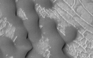 <h1>PIA04539:  Ridges and Sand Dunes</h1><div class="PIA04539" lang="en" style="width:540px;text-align:left;margin:auto;background-color:#000;padding:10px;max-height:150px;overflow:auto;">MGS MOC Release No. MOC2-369, 23 May 2003<p>Dark, windblown sand dunes have over-ridden a suite of low, somewhat rectilinear ridges on the floor of an impact crater near 36.5°S, 219.0° W, in this Mars Global Surveyor (MGS) Mars Orbiter Camera (MOC) image acquired in May 2003. The dune field is located in Terra Cimmeria. The image is 1.2 km (3/4 mile) wide; sunlight illuminates the scene from the upper left.<p><br /><br /><a href="http://photojournal.jpl.nasa.gov/catalog/PIA04539" onclick="window.open(this.href); return false;" title="Voir l'image 	 PIA04539:  Ridges and Sand Dunes	  sur le site de la NASA">Voir l'image 	 PIA04539:  Ridges and Sand Dunes	  sur le site de la NASA.</a></div>