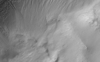 <h1>PIA04541:  Gullied Crater Wall</h1><div class="PIA04541" lang="en" style="width:540px;text-align:left;margin:auto;background-color:#000;padding:10px;max-height:150px;overflow:auto;">MGS MOC Release No. MOC2-371, 25 May 2003<p>Gullies are common in some regions on middle- and polar-latitude slopes, such as crater walls. This March 2003 Mars Global Surveyor (MGS) Mars Orbiter Camera (MOC) image shows gullies on the north wall of a crater in the Atlantis Chaos region near 34.3°S, 178.0°W. The gullies might have formed by flow of a fluid--perhaps liquid water--sometime in the geologically recent martian past. Sunlight illuminates the scene from the upper left.<p><br /><br /><a href="http://photojournal.jpl.nasa.gov/catalog/PIA04541" onclick="window.open(this.href); return false;" title="Voir l'image 	 PIA04541:  Gullied Crater Wall	  sur le site de la NASA">Voir l'image 	 PIA04541:  Gullied Crater Wall	  sur le site de la NASA.</a></div>