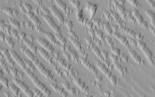 <h1>PIA04543:  Wind-Eroded Terrain in Tharsis</h1><div class="PIA04543" lang="en" style="width:540px;text-align:left;margin:auto;background-color:#000;padding:10px;max-height:150px;overflow:auto;">MGS MOC Release No. MOC2-373, 27 May 2003<p>This May 2003 Mars Global Surveyor (MGS) Mars Orbiter Camera (MOC) image shows a suite of wind-sculpted ridges on the plains northwest of the Tharsis volcano, Ascraeus Mons. The two circular features are old meteor impact craters. The ridges running from upper left toward lower right may have once been sand dunes. These dunes and the two craters were later covered by thick accumulations of dust or volcanic ash, and this fine material was later eroded by wind to form the somewhat triangular tails and markings that point toward the upper right. The area shown is 1.7 km (1.1 mi) wide and located near 16.0°N, 107.6°W. Sunlight illuminates the scene from the lower left.<p><br /><br /><a href="http://photojournal.jpl.nasa.gov/catalog/PIA04543" onclick="window.open(this.href); return false;" title="Voir l'image 	 PIA04543:  Wind-Eroded Terrain in Tharsis	  sur le site de la NASA">Voir l'image 	 PIA04543:  Wind-Eroded Terrain in Tharsis	  sur le site de la NASA.</a></div>