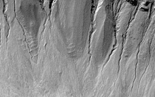 <h1>PIA04570:  Gullies in Crater Wall</h1><div class="PIA04570" lang="en" style="width:540px;text-align:left;margin:auto;background-color:#000;padding:10px;max-height:150px;overflow:auto;">MGS MOC Release No. MOC2-388, 11 June 2003<p>Many craters and troughs at polar and middle latitudes on Mars have gullies carved in their walls. These gullies may have formed by running water; others have suggested alternative, exotic fluids such as liquid or gaseous carbon dioxide. This view of martian gullies was acquired by the Mars Global Surveyor (MGS) Mars Orbiter Camera (MOC). The image shows gullies in the wall of an old meteor impact crater near 39.0°S, 200.7°W. Sunlight illuminates the scene from the upper left.<p><br /><br /><a href="http://photojournal.jpl.nasa.gov/catalog/PIA04570" onclick="window.open(this.href); return false;" title="Voir l'image 	 PIA04570:  Gullies in Crater Wall	  sur le site de la NASA">Voir l'image 	 PIA04570:  Gullies in Crater Wall	  sur le site de la NASA.</a></div>
