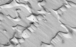 <h1>PIA04572:  Frosted Chasma Boreale Dunes</h1><div class="PIA04572" lang="en" style="width:540px;text-align:left;margin:auto;background-color:#000;padding:10px;max-height:150px;overflow:auto;">MGS MOC Release No. MOC2-390, 13 June 2003<p>This is a Mars Global Surveyor (MGS) Mars Orbiter Camera (MOC) view of frost-covered sand dunes in Chasma Boreale in the early northern spring season. Dark spots, some of them with bright halos of re-precipitated frost, have formed as the dunes begin to defrost. Most of the frost is carbon dioxide which freezes out of the atmosphere during the cold martian polar winters. This picture is located near 84.7°N, 358.8°W, and is illuminated from the lower left.<p><br /><br /><a href="http://photojournal.jpl.nasa.gov/catalog/PIA04572" onclick="window.open(this.href); return false;" title="Voir l'image 	 PIA04572:  Frosted Chasma Boreale Dunes	  sur le site de la NASA">Voir l'image 	 PIA04572:  Frosted Chasma Boreale Dunes	  sur le site de la NASA.</a></div>