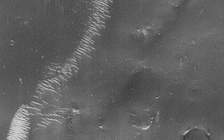 <h1>PIA04584:  Large, Bright Wind Ripples</h1><div class="PIA04584" lang="en" style="width:540px;text-align:left;margin:auto;background-color:#000;padding:10px;max-height:150px;overflow:auto;">MGS MOC Release No. MOC2-397, 20 June 2003<p>This Mars Global Surveyor (MGS) Mars Orbiter Camera (MOC) image shows large, relatively bright ripples of windblown sediment in the Sinus Sabaeus region south of Schiaparelli Basin. The surrounding substrate is thickly mantled by very dark material, possibly windblown silt that settled out of the atmosphere. The picture is located near 7.1°S, 343.7°W. Sunlight illuminates the scene from the left.<p><br /><br /><a href="http://photojournal.jpl.nasa.gov/catalog/PIA04584" onclick="window.open(this.href); return false;" title="Voir l'image 	 PIA04584:  Large, Bright Wind Ripples	  sur le site de la NASA">Voir l'image 	 PIA04584:  Large, Bright Wind Ripples	  sur le site de la NASA.</a></div>