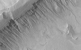 <h1>PIA04599:  Gullies in Terra Sirenum</h1><div class="PIA04599" lang="en" style="width:540px;text-align:left;margin:auto;background-color:#000;padding:10px;max-height:150px;overflow:auto;">MGS MOC Release No. MOC2-406, 29 June 2003<p>Sending a very high resolution camera to Mars--the Mars Global Surveyor (MGS) Mars Orbiter Camera (MOC)--has resulted in some startling discoveries about the red planet since 1997. One of the MOC discoveries, announced three years ago in June 2000, is the presence of middle- and polar-latitude gullies that were cut by a fluid that behaves as water does. Since their discovery, gullies have generated considerable discussion and debate in the Mars science community. Some speculate that they are caused by groundwater, others suggest melting of subsurface ice or surface accumulations of snow. Still others debate whether the fluid was water, or something more exotic like gaseous carbon dioxide. Regardless, thousands of MOC images obtained since 1997 show that the gullies, while occurring at middle and polar latitudes, do not show a particular preference for poleward-facing slopes, as had been originally determined from the smaller sampling available in 1999 and 2000. Gullies tend to occur in regional clusters and they tend to be associated with layers exposed on the walls of craters, troughs, and valleys. This example shows gullies in the wall of an impact crater in Terra Sirenum near 39.1°S, 166.1°W. The picture was taken on June 10, 2003, the same day as the recent Mars Exploration Rover, Spirit, launch. The scene is illuminated from the upper left and covers an area 3 km (1.9 mi) across.<p><br /><br /><a href="http://photojournal.jpl.nasa.gov/catalog/PIA04599" onclick="window.open(this.href); return false;" title="Voir l'image 	 PIA04599:  Gullies in Terra Sirenum	  sur le site de la NASA">Voir l'image 	 PIA04599:  Gullies in Terra Sirenum	  sur le site de la NASA.</a></div>