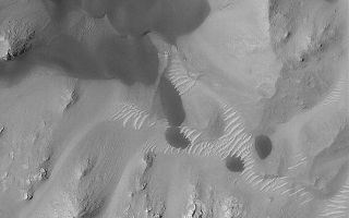 <h1>PIA04612:  Windblown Dunes and Ripples</h1><div class="PIA04612" lang="en" style="width:540px;text-align:left;margin:auto;background-color:#000;padding:10px;max-height:150px;overflow:auto;">MGS MOC Release No. MOC2-411, 4 July 2003<p>July 4, 2003, is the 6th anniversary of the Mars Pathfinder landing. One of the elements carried to the red planet by Pathfinder was the Wind Sock Experiment. This project was designed to measure wind activity by taking pictures of three aluminum "wind socks." While the winds at the Mars Pathfinder site did not blow particularly strong during the course of that mission, dust storms seen from orbit and Earth-based telescopes attest to the fact that wind is a major force of change on the dry, desert surface of Mars today. This Mars Global Surveyor (MGS) Mars Orbiter Camera (MOC) narrow angle image shows dark sand dunes and lighter-toned ripples trapped among the mountainous central peak of an old impact crater in Terra Tyrrhena near 13.9°S, 246.7°W. The dune slip faces--the steepest slope on the larger dunes--indicate sand transport is from the top/upper left toward the bottom/lower right. North is toward the top/upper right; the picture is 3 km (1.9 mi) across. Sunlight illuminates the scene from the upper left. This picture was obtained in April 2003.<p><br /><br /><a href="http://photojournal.jpl.nasa.gov/catalog/PIA04612" onclick="window.open(this.href); return false;" title="Voir l'image 	 PIA04612:  Windblown Dunes and Ripples	  sur le site de la NASA">Voir l'image 	 PIA04612:  Windblown Dunes and Ripples	  sur le site de la NASA.</a></div>