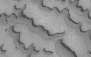 <h1>PIA04620:  North Polar Sand Dunes</h1><div class="PIA04620" lang="en" style="width:540px;text-align:left;margin:auto;background-color:#000;padding:10px;max-height:150px;overflow:auto;">MGS MOC Release No. MOC2-417, 10 July 2003<p>The martian north polar ice cap is surrounded by fields of dark, windblown sand dunes. This March 2003 Mars Global Surveyor (MGS) Mars Orbiter Camera (MOC) image shows dunes near 76.5°N, 264.7°W. The steep dune slip faces indicate wind transport of sand from the lower left toward the upper right. Sunlight illuminates the scene from the lower left.<p><br /><br /><a href="http://photojournal.jpl.nasa.gov/catalog/PIA04620" onclick="window.open(this.href); return false;" title="Voir l'image 	 PIA04620:  North Polar Sand Dunes	  sur le site de la NASA">Voir l'image 	 PIA04620:  North Polar Sand Dunes	  sur le site de la NASA.</a></div>