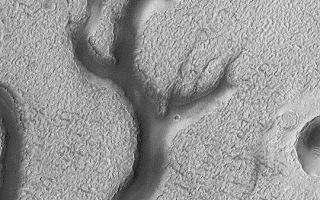 <h1>PIA04621:  Dark Valley in Newton Crater</h1><div class="PIA04621" lang="en" style="width:540px;text-align:left;margin:auto;background-color:#000;padding:10px;max-height:150px;overflow:auto;">MGS MOC Release No. MOC2-418, 11 July 2003<p>This Mars Global Surveyor (MGS) Mars Orbiter Camera (MOC) high resolution image shows part of a dark-floored valley system in northern Newton Crater. The valley might have been originally formed by liquid water; the dark material is probably sand that has blown into the valley in more recent times. The picture was acquired earlier this week on July 6, 2003, and is located near 39.2°S, 157.9°W. The picture covers an area 2.3 km (1.4 mi) across; sunlight illuminates the scene from the upper left.<p><br /><br /><a href="http://photojournal.jpl.nasa.gov/catalog/PIA04621" onclick="window.open(this.href); return false;" title="Voir l'image 	 PIA04621:  Dark Valley in Newton Crater	  sur le site de la NASA">Voir l'image 	 PIA04621:  Dark Valley in Newton Crater	  sur le site de la NASA.</a></div>