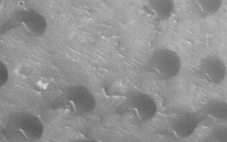 <h1>PIA04688:  Peridier Dune Field</h1><div class="PIA04688" lang="en" style="width:625px;text-align:left;margin:auto;background-color:#000;padding:10px;max-height:150px;overflow:auto;">MGS MOC Release No. MOC2-454, 16 August 2003<p />Four days ago, the Mars Global Surveyor (MGS) Mars Orbiter Camera (MOC) Picture of the Day featured a MOC wide angle view of <a href="http://www.msss.com/mars_images/moc/2003/08/12/index.html">Peridier Crater</a> and the dark feature on its southwestern floor. Today's Picture of the Day shows a MOC narrow angle view of a portion of the dark area in southwest Peridier Crater. Some of the dark material in this crater resolves at higher resolution into a field of small sand dunes. The dune slip faces--the steepest slopes on the dunes-face toward the southwest (lower left), indicating that the dominant winds that have shaped these dunes blow from the northeast. The picture has a resolution of about 1.8 m (5.9 ft) per pixel; it covers an area only 1.1 km (0.7 mi) wide. The image is somewhat grainy because it was taken through a late northern summer hazy atmosphere in April 2003. The image is located in southwest Peridier Crater near 25.3°N, 276.5° W. Sunlight illuminates the scene from the lower left.<br /><br /><a href="http://photojournal.jpl.nasa.gov/catalog/PIA04688" onclick="window.open(this.href); return false;" title="Voir l'image 	 PIA04688:  Peridier Dune Field	  sur le site de la NASA">Voir l'image 	 PIA04688:  Peridier Dune Field	  sur le site de la NASA.</a></div>