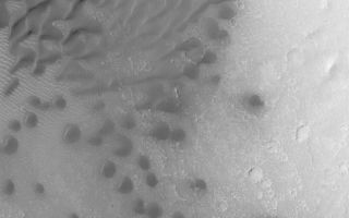 <h1>PIA04692:  Intracrater Dune Field</h1><div class="PIA04692" lang="en" style="width:800px;text-align:left;margin:auto;background-color:#000;padding:10px;max-height:150px;overflow:auto;">MGS MOC Release No. MOC2-458, 20 August 2003<p />This Mars Global Surveyor (MGS) Mars Orbiter Camera (MOC) image shows a field of dark sand dunes trapped on the floor of a crater near Cerberus at 8.6°N, 190.9°W. The local winds within the crater have shaped these dunes such that they all reflect a general trend of sand transport toward the west and southwest (left/lower left). This image covers an area 3 km (1.9 mi) across. Sunlight illuminates the scene from the left/lower left.<br /><br /><a href="http://photojournal.jpl.nasa.gov/catalog/PIA04692" onclick="window.open(this.href); return false;" title="Voir l'image 	 PIA04692:  Intracrater Dune Field	  sur le site de la NASA">Voir l'image 	 PIA04692:  Intracrater Dune Field	  sur le site de la NASA.</a></div>
