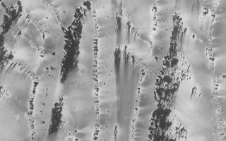 <h1>PIA04759:  Defrosting Richardson Dunes</h1><div class="PIA04759" lang="en" style="width:675px;text-align:left;margin:auto;background-color:#000;padding:10px;max-height:150px;overflow:auto;">MGS MOC Release No. MOC2-492, 23 September 2003<p />This is a mid-southern spring view, taken in August 2003, of defrosting patterns on sand dunes in Richardson Crater. The picture was acquired by the Mars Global Surveyor (MGS) Mars Orbiter Camera (MOC). The frost on these dunes might be a combination of frozen carbon dioxide left over from the previous winter, and water ice. As the ices sublime away, they create dark spots. Winds create dark streaks, either by moving the dark sand that underlies the frost, or by removing frost to expose the sand. Alternatively, the frost itself is roughened by the wind or has been made coarse by wind and sublimation processes. The Richardson dune field undergoes a long series of changes as it defrosts from late winter through spring and into early summer. Summer will arrive at the end of September 2003. This picture is located near 72°S, 181°W, and covers an area 3 km (1.9 mi) across. Sunlight illuminates the scene from the upper left.<br /><br /><a href="http://photojournal.jpl.nasa.gov/catalog/PIA04759" onclick="window.open(this.href); return false;" title="Voir l'image 	 PIA04759:  Defrosting Richardson Dunes	  sur le site de la NASA">Voir l'image 	 PIA04759:  Defrosting Richardson Dunes	  sur le site de la NASA.</a></div>
