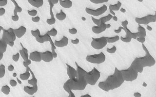 <h1>PIA04762:  Polar Sand Dunes</h1><div class="PIA04762" lang="en" style="width:672px;text-align:left;margin:auto;background-color:#000;padding:10px;max-height:150px;overflow:auto;">MGS MOC Release No. MOC2-495, 26 September 2003<p />This Mars Global Surveyor (MGS) Mars Orbiter Camera (MOC) image shows windblown sand dunes in Chasma Boreale, a wide trough in the north polar region of Mars. The dunes are shown here in their summertime configuration; that is, they are not covered with seasonal frost. The dunes are dark because the grains that make up these sandy landforms consist of dark minerals and/or fragments of dark-toned rock. The steepest slopes on these dunes, their slipfaces, point toward the top/upper left (northwest), indicating that winds blow the sand from the lower right (southeast). This picture is located near 84.7°N, 359.3°W, and covers an area 3 km (1.9 mi) across. Sunlight illuminates the scene from the lower left.<br /><br /><a href="http://photojournal.jpl.nasa.gov/catalog/PIA04762" onclick="window.open(this.href); return false;" title="Voir l'image 	 PIA04762:  Polar Sand Dunes	  sur le site de la NASA">Voir l'image 	 PIA04762:  Polar Sand Dunes	  sur le site de la NASA.</a></div>