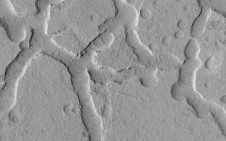 <h1>PIA04775:  Mesas and Troughs</h1><div class="PIA04775" lang="en" style="width:512px;text-align:left;margin:auto;background-color:#000;padding:10px;max-height:150px;overflow:auto;">MGS MOC Release No. MOC2-501, 2 October 2003<p />This Mars Global Surveyor (MGS) Mars Orbiter Camera (MOC) image shows a grouping of mesas created by pitting and erosion of a layered material north of Apollinaris Patera near 1.7°S, 187.0°W. The terrain is mantled by dust and the troughs between the mesas exhibit large, ripple-like, windblown bedforms. The picture covers an area 3 km (1.9 mi) across. Sunlight illuminates the scene from the lower left.<br /><br /><a href="http://photojournal.jpl.nasa.gov/catalog/PIA04775" onclick="window.open(this.href); return false;" title="Voir l'image 	 PIA04775:  Mesas and Troughs	  sur le site de la NASA">Voir l'image 	 PIA04775:  Mesas and Troughs	  sur le site de la NASA.</a></div>