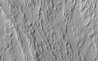 <h1>PIA04784:  Flows of Olympus</h1><div class="PIA04784" lang="en" style="width:512px;text-align:left;margin:auto;background-color:#000;padding:10px;max-height:150px;overflow:auto;">MGS MOC Release No. MOC2-506, 7 October 2003<p />This Mars Global Surveyor (MGS) Mars Orbiter Camera (MOC) image shows a series of dust-covered, overlapping lava flows on the lower southeast flank of the giant martian volcano, Olympus Mons. Leveed channels are abundant; they were the conduits through which molten lava was transported down the length of each flow. This picture is located near 14.3°N, 132.3°W, and covers an area 3 km (1.9 mi) wide. The image is illuminated by sunlight from the lower left.<br /><br /><a href="http://photojournal.jpl.nasa.gov/catalog/PIA04784" onclick="window.open(this.href); return false;" title="Voir l'image 	 PIA04784:  Flows of Olympus	  sur le site de la NASA">Voir l'image 	 PIA04784:  Flows of Olympus	  sur le site de la NASA.</a></div>