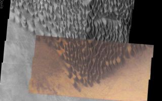 <h1>PIA04970:  Dark Gray Dunes, Bright Orange Dust</h1><div class="PIA04970" lang="en" style="width:800px;text-align:left;margin:auto;background-color:#000;padding:10px;max-height:150px;overflow:auto;"><p /><a href="/figures/PIA04970_context.jpg"></a><br /><p />Released 26 December 2003<p />This <a href="/catalog/PIA04872">approximately true color</a> THEMIS VIS image shows the striking contrast between large, dark dunes and the surrounding surface. These dunes are at the southernmost edge of the Russel Crater dune field, located in the heavily cratered terrain of the southern highlands. Dust devil tracks off the eastern edge of the dune field reveal that the bright orange surface is material that can be stripped away, exposing an underlying darker surface. The gray surface to the west of the dunefield may be either a thin sand sheet or a surface preferentially stripped of the bright orange material, possibly revealing the same underlying surface that is exposed in the dust devil tracks. Bright orange areas between the dunes probably highlight areas that are protected from the wind, allowing dust to accumulate into bright orange patches.<p />Initial image processing and calibration by THEMIS team members J. Bell, T. McConnochie, and D. Savransky at Cornell University; additional processing and final color balance by space artist Don Davis.<p />Image information: VIS instrument. Latitude -54.8, Longitude 12.4 East (347.6 West). 19 meter/pixel resolution.<p />Note: this THEMIS visual image has not been radiometrically nor geometrically calibrated for this preliminary release. An empirical correction has been performed to remove instrumental effects. A linear shift has been applied in the cross-track and down-track direction to approximate spacecraft and planetary motion. Fully calibrated and geometrically projected images will be released through the Planetary Data System in accordance with Project policies at a later time.<p />NASA's Jet Propulsion Laboratory manages the 2001 Mars Odyssey mission for NASA's Office of Space Science, Washington, D.C. The Thermal Emission Imaging System (THEMIS) was developed by Arizona State University, Tempe, in collaboration with Raytheon Santa Barbara Remote Sensing. The THEMIS investigation is led by Dr. Philip Christensen at Arizona State University. Lockheed Martin Astronautics, Denver, is the prime contractor for the Odyssey project, and developed and built the orbiter. Mission operations are conducted jointly from Lockheed Martin and from JPL, a division of the California Institute of Technology in Pasadena.<br /><br /><a href="http://photojournal.jpl.nasa.gov/catalog/PIA04970" onclick="window.open(this.href); return false;" title="Voir l'image 	 PIA04970:  Dark Gray Dunes, Bright Orange Dust	  sur le site de la NASA">Voir l'image 	 PIA04970:  Dark Gray Dunes, Bright Orange Dust	  sur le site de la NASA.</a></div>
