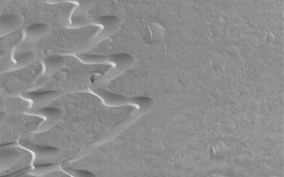 <h1>PIA05011:  Syrtis Major Dune Field</h1><div class="PIA05011" lang="en" style="width:800px;text-align:left;margin:auto;background-color:#000;padding:10px;max-height:150px;overflow:auto;">20 December 2003<p />This Mars Global Surveyor (MGS) Mars Orbiter Camera (MOC) image shows barchan sand dunes west of the Meroe Patera volcanic caldera in central Syrtis Major. The winds that shape these dunes blow from the right/upper right (northeast). The surface across which the dunes have traveled is probably composed of volcanic rocks; the dunes, too, may have volcanic materials, such as sand-sized grains of tephra-volcanic ash-in them. This October 2003 view is located near 7.4°N, 292.3°W, and covers an area 3 km (1.9 mi) wide. Sunlight illuminates the scene from the lower left.<br /><br /><a href="http://photojournal.jpl.nasa.gov/catalog/PIA05011" onclick="window.open(this.href); return false;" title="Voir l'image 	 PIA05011:  Syrtis Major Dune Field	  sur le site de la NASA">Voir l'image 	 PIA05011:  Syrtis Major Dune Field	  sur le site de la NASA.</a></div>