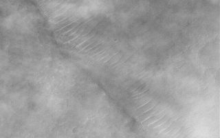 <h1>PIA05012:  Raising Dust</h1><div class="PIA05012" lang="en" style="width:601px;text-align:left;margin:auto;background-color:#000;padding:10px;max-height:150px;overflow:auto;">21 December 2003<p />Dust storms are a common occurrence on the extremely arid planet, Mars. However, very rarely do we get to see the actual process of dust being lifted off the martian surface to feed these dust storms. This Mars Global Surveyor (MGS) Mars Orbiter Camera (MOC) image captures some of the dust-raising process in action. The picture shows a shallow trough with large, ripple-like dunes on its floor. Sunlight illuminates the scene from the upper left. Puffy, billowy clouds of dust obscure some of the surface from view. Closer inspection shows streamers of dust, streaking from left/upper left toward right/lower right, down near the surface of the planet. It is in these streamers that dust is being lifted from the ground. This image is located near 29.6°S, 73.1°W, and covers an area 3 km (1.9 mi) wide.<br /><br /><a href="http://photojournal.jpl.nasa.gov/catalog/PIA05012" onclick="window.open(this.href); return false;" title="Voir l'image 	 PIA05012:  Raising Dust	  sur le site de la NASA">Voir l'image 	 PIA05012:  Raising Dust	  sur le site de la NASA.</a></div>