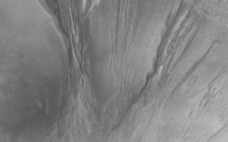 <h1>PIA05185:  High-resolution View of Gullies</h1><div class="PIA05185" lang="en" style="width:800px;text-align:left;margin:auto;background-color:#000;padding:10px;max-height:150px;overflow:auto;">12 January 2004 <br /> One goal of the Mars Global Surveyor (MGS) Mars Orbiter Camera (MOC) extended mission is to examine middle- and polar-latitude gullies at the highest resolutions available to MOC. This image, at 1.5 meters (5 feet) per pixel, shows several gullies carved into the material covering the wall of an old meteor impact crater near 46.7°S, 162.3°W. Large boulders that have come down the slopes are present among the gullies and their aprons. The image covers an area 3 km (1.9 mi) wide; sunlight illuminates the scene from the upper left.<br /><br /><a href="http://photojournal.jpl.nasa.gov/catalog/PIA05185" onclick="window.open(this.href); return false;" title="Voir l'image 	 PIA05185:  High-resolution View of Gullies	  sur le site de la NASA">Voir l'image 	 PIA05185:  High-resolution View of Gullies	  sur le site de la NASA.</a></div>