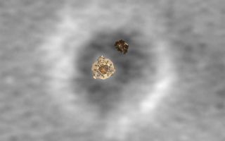 <h1>PIA05231:  Top View of a Computer Graphic Model of the Opportunity Lander and Rover</h1><div class="PIA05231" lang="en" style="width:800px;text-align:left;margin:auto;background-color:#000;padding:10px;max-height:150px;overflow:auto;"><p /><a href="/catalog/PIA05265"></a>PIA05265<br /><p />A computer graphics model of the Opportunity lander and rover are super-imposed on top of the martian terrain where Opportunity landed.<br /><br /><a href="http://photojournal.jpl.nasa.gov/catalog/PIA05231" onclick="window.open(this.href); return false;" title="Voir l'image 	 PIA05231:  Top View of a Computer Graphic Model of the Opportunity Lander and Rover	  sur le site de la NASA">Voir l'image 	 PIA05231:  Top View of a Computer Graphic Model of the Opportunity Lander and Rover	  sur le site de la NASA.</a></div>