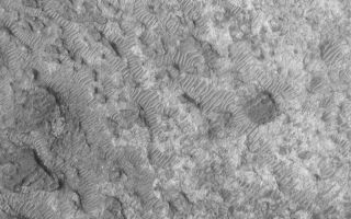 <h1>PIA05292:  Stripped Crater Floor</h1><div class="PIA05292" lang="en" style="width:800px;text-align:left;margin:auto;background-color:#000;padding:10px;max-height:150px;overflow:auto;">10 February 2004 <br /> This full-resolution Mars Global Surveyor (MGS) Mars Orbiter Camera (MOC) image shows details on the floor of an ancient meteor crater in the northeastern part of Noachis Terra. After the crater formed, layers of material--perhaps sediment--were deposited in the crater. These materials became somewhat solidified, but later were eroded to form the patterns shown here. Many windblown ripples in the scene indicate the presence of coarse-grained sediment that was not completely stripped away by wind. The picture is located near 22.1°S, 307.0°W. Sunlight illuminates this scene from the left/upper left; the image covers an area 3 km (1.9 mi) wide.<br /><br /><a href="http://photojournal.jpl.nasa.gov/catalog/PIA05292" onclick="window.open(this.href); return false;" title="Voir l'image 	 PIA05292:  Stripped Crater Floor	  sur le site de la NASA">Voir l'image 	 PIA05292:  Stripped Crater Floor	  sur le site de la NASA.</a></div>