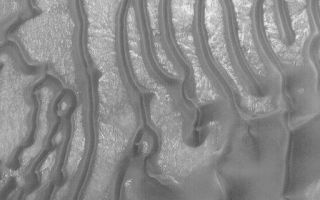 <h1>PIA05293:  Sand Dunes in Noachis Terra</h1><div class="PIA05293" lang="en" style="width:512px;text-align:left;margin:auto;background-color:#000;padding:10px;max-height:150px;overflow:auto;">11 February 2004 <br /> This Mars Global Surveyor (MGS) Mars Orbiter Camera (MOC) image shows dark-toned sand dunes in a crater in eastern Noachis Terra. Most big martian dunes tend to be dark, as opposed to the more familiar light-toned dunes of Earth. This difference is a product of the composition of the dunes; on Earth, most dunes contain abundant quartz. Quartz is usually clear (transparent), though quartz sand grains that have been kicked around by wind usually develop a white, frosty surface. On Mars, the sand is mostly made up of the darker minerals that comprise iron- and magnesium-rich volcanic rocks--i.e., like the black sand beaches found on volcanic islands like Hawaii. Examples of dark sand dunes on Earth are found in central Washington state and Iceland, among other places. This picture is located near 49.0°S, 326.3°W. Sunlight illuminates this scene from the upper left; the image covers an area 3 km (1.9 mi) wide.<br /><br /><a href="http://photojournal.jpl.nasa.gov/catalog/PIA05293" onclick="window.open(this.href); return false;" title="Voir l'image 	 PIA05293:  Sand Dunes in Noachis Terra	  sur le site de la NASA">Voir l'image 	 PIA05293:  Sand Dunes in Noachis Terra	  sur le site de la NASA.</a></div>