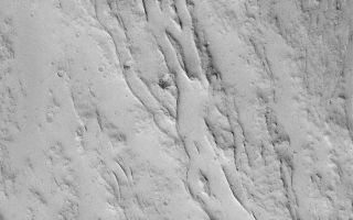 <h1>PIA05527:  Olympian Lava Channels</h1><div class="PIA05527" lang="en" style="width:672px;text-align:left;margin:auto;background-color:#000;padding:10px;max-height:150px;overflow:auto;">29 February 2004 <br />Flowing lava can make leveed channels--that is, channels with raised-rimmed walls. This Mars Global Surveyor (MGS) Mars Orbiter Camera (MOC) image shows an example from the lower north flank of the giant volcano, Olympus Mons. The channels today are filled with a blanket of dust. The image is located near 23.0°N, 135.9°W. Sunlight illuminates the scene from the lower left; the picture covers an area 3 km (1.9 mi) wide.<br /><br /><a href="http://photojournal.jpl.nasa.gov/catalog/PIA05527" onclick="window.open(this.href); return false;" title="Voir l'image 	 PIA05527:  Olympian Lava Channels	  sur le site de la NASA">Voir l'image 	 PIA05527:  Olympian Lava Channels	  sur le site de la NASA.</a></div>