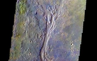 <h1>PIA05663:  Channel with Island in False Color</h1><div class="PIA05663" lang="en" style="width:610px;text-align:left;margin:auto;background-color:#000;padding:10px;max-height:150px;overflow:auto;"><a href="/figures/PIA05663_fig1.jpg"> </a><br /><p />Released 29 March 2004<p />The Odyssey spacecraft has completed a full Mars year of observations of the red planet. For the next several weeks the Image of the Day will look back over this first mars year. It will focus on four themes: 1) the poles - with the seasonal changes seen in the retreat and expansion of the caps; 2) craters - with a variety of morphologies relating to impact materials and later alteration, both infilling and exhumation; 3) channels - the clues to liquid surface flow; and 4) volcanic flow features. While some images have helped answer questions about the history of Mars, many have raised new questions that are still being investigated as Odyssey continues collecting data as it orbits Mars.<p />This false color image shows part of the Apsus Vallis region. It was collected February 2, 2003 during northern summer season. The local time is 5pm. The image shows a typical channel formation with island created in it.<p />Image information: VIS instrument. Latitude 35.1, Longitude 135 East (225 West). 19 meter/pixel resolution.<p />Note: this THEMIS visual image has not been radiometrically nor geometrically calibrated for this preliminary release. An empirical correction has been performed to remove instrumental effects. A linear shift has been applied in the cross-track and down-track direction to approximate spacecraft and planetary motion. Fully calibrated and geometrically projected images will be released through the Planetary Data System in accordance with Project policies at a later time.<p />NASA's Jet Propulsion Laboratory manages the 2001 Mars Odyssey mission for NASA's Office of Space Science, Washington, D.C. The Thermal Emission Imaging System (THEMIS) was developed by Arizona State University, Tempe, in collaboration with Raytheon Santa Barbara Remote Sensing. The THEMIS investigation is led by Dr. Philip Christensen at Arizona State University. Lockheed Martin Astronautics, Denver, is the prime contractor for the Odyssey project, and developed and built the orbiter. Mission operations are conducted jointly from Lockheed Martin and from JPL, a division of the California Institute of Technology in Pasadena.<br /><br /><a href="http://photojournal.jpl.nasa.gov/catalog/PIA05663" onclick="window.open(this.href); return false;" title="Voir l'image 	 PIA05663:  Channel with Island in False Color	  sur le site de la NASA">Voir l'image 	 PIA05663:  Channel with Island in False Color	  sur le site de la NASA.</a></div>