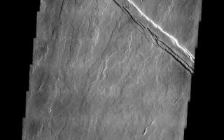 <h1>PIA05689:  Flows from Olympus Mons</h1><div class="PIA05689" lang="en" style="width:549px;text-align:left;margin:auto;background-color:#000;padding:10px;max-height:150px;overflow:auto;"><a href="/figures/PIA05689_fig1.jpg"> </a><br /><p />Released 5 April 2004<p />The Odyssey spacecraft has completed a full Mars year of observations of the red planet. For the next several weeks the Image of the Day will look back over this first mars year. It will focus on four themes: 1) the poles - with the seasonal changes seen in the retreat and expansion of the caps; 2) craters - with a variety of morphologies relating to impact materials and later alteration, both infilling and exhumation; 3) channels - the clues to liquid surface flow; and 4) volcanic flow features. While some images have helped answer questions about the history of Mars, many have raised new questions that are still being investigated as Odyssey continues collecting data as it orbits Mars.<p />This image was collected June 2, 2002 during early northern spring. The relative timing of volcanic flows from Olympus Mons and the formation of the structural feature can be deduced by which flows are cut by the fracture and which flows fill and cross the fracture.<p />Image information: VIS instrument. Latitude 19.8, Longitude 233 East (127 West). 19 meter/pixel resolution.<p />Note: this THEMIS visual image has not been radiometrically nor geometrically calibrated for this preliminary release. An empirical correction has been performed to remove instrumental effects. A linear shift has been applied in the cross-track and down-track direction to approximate spacecraft and planetary motion. Fully calibrated and geometrically projected images will be released through the Planetary Data System in accordance with Project policies at a later time.<p />NASA's Jet Propulsion Laboratory manages the 2001 Mars Odyssey mission for NASA's Office of Space Science, Washington, D.C. The Thermal Emission Imaging System (THEMIS) was developed by Arizona State University, Tempe, in collaboration with Raytheon Santa Barbara Remote Sensing. The THEMIS investigation is led by Dr. Philip Christensen at Arizona State University. Lockheed Martin Astronautics, Denver, is the prime contractor for the Odyssey project, and developed and built the orbiter. Mission operations are conducted jointly from Lockheed Martin and from JPL, a division of the California Institute of Technology in Pasadena.<br /><br /><a href="http://photojournal.jpl.nasa.gov/catalog/PIA05689" onclick="window.open(this.href); return false;" title="Voir l'image 	 PIA05689:  Flows from Olympus Mons	  sur le site de la NASA">Voir l'image 	 PIA05689:  Flows from Olympus Mons	  sur le site de la NASA.</a></div>