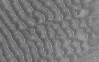 <h1>PIA05693:  Dark Sand Dunes</h1><div class="PIA05693" lang="en" style="width:800px;text-align:left;margin:auto;background-color:#000;padding:10px;max-height:150px;overflow:auto;">18 March 2004<br />This Mars Global Surveyor (MGS) Mars Orbiter Camera (MOC) image shows a field of low-albedo (i.e., dark) sand dunes in a crater in Noachis Terra. Dunes on Earth are usually light while those on Mars are usually dark. This contrast results from a difference in the mineral composition. Earth dunes often contain abundant quartz, which appears light, while martian dunes typically contain minerals and rock fragments abundant in iron- and magnesium-rich minerals, which are usually dark. This dune field is located near 41.7°S, 319.8°W. The steeper slopes on these dunes, known as slip faces, point toward the lower left (southwest), indicating the dominant winds come from the northeast (upper right). This picture covers an area about 3 km (1.9 mi) across. Sunlight illuminates the scene from the upper left.<br /><br /><a href="http://photojournal.jpl.nasa.gov/catalog/PIA05693" onclick="window.open(this.href); return false;" title="Voir l'image 	 PIA05693:  Dark Sand Dunes	  sur le site de la NASA">Voir l'image 	 PIA05693:  Dark Sand Dunes	  sur le site de la NASA.</a></div>