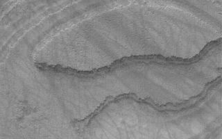 <h1>PIA05701:  South Polar Layers</h1><div class="PIA05701" lang="en" style="width:800px;text-align:left;margin:auto;background-color:#000;padding:10px;max-height:150px;overflow:auto;">27 March 2004<br />This 1.5 meter per pixel (5 ft./pixel) Mars Global Surveyor (MGS) Mars Orbiter Camera (MOC) image shows south polar layers exposed on the slopes of a mesa near 74.2°S, 244.6°W. These layers were once more extensive across the region, today only this and a few other remnants remain. The dark streaks were created by spring and summer dust devils that swept across the layered mesa with little regard to the changes in topography. The image covers an area about 3 km (1.9 mi) across. Sunlight illuminates the scene from the upper left.<br /><br /><a href="http://photojournal.jpl.nasa.gov/catalog/PIA05701" onclick="window.open(this.href); return false;" title="Voir l'image 	 PIA05701:  South Polar Layers	  sur le site de la NASA">Voir l'image 	 PIA05701:  South Polar Layers	  sur le site de la NASA.</a></div>