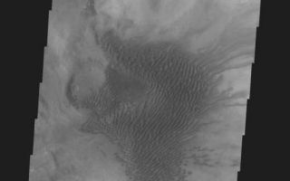 <h1>PIA05762:  Hellas Basin Dunes</h1><div class="PIA05762" lang="en" style="width:521px;text-align:left;margin:auto;background-color:#000;padding:10px;max-height:150px;overflow:auto;"><a href="/figures/PIA05762_fig1.jpg"> </a><br /><p>Released 15 April 2004</p><p>The Odyssey spacecraft has completed a full Mars year of observations of the red planet. For the next several weeks the Image of the Day will look back over this first mars year. It will focus on four themes: 1) the poles - with the seasonal changes seen in the retreat and expansion of the caps; 2) craters - with a variety of morphologies relating to impact materials and later alteration, both infilling and exhumation; 3) channels - the clues to liquid surface flow; and 4) volcanic flow features. While some images have helped answer questions about the history of Mars, many have raised new questions that are still being investigated as Odyssey continues collecting data as it orbits Mars.</p><p>This daytime VIS image was collected on December 14, 2003 during the southern summer season on the Hellas Basin Rim.</p><p>Image information: VIS instrument. Latitude -41.3, Longitude 46.4 East (313.6 West). 19 meter/pixel resolution.</p><p>Note: this THEMIS visual image has not been radiometrically nor geometrically calibrated for this preliminary release. An empirical correction has been performed to remove instrumental effects. A linear shift has been applied in the cross-track and down-track direction to approximate spacecraft and planetary motion. Fully calibrated and geometrically projected images will be released through the Planetary Data System in accordance with Project policies at a later time.</p><p>NASA's Jet Propulsion Laboratory manages the 2001 Mars Odyssey mission for NASA's Office of Space Science, Washington, D.C. The Thermal Emission Imaging System (THEMIS) was developed by Arizona State University, Tempe, in collaboration with Raytheon Santa Barbara Remote Sensing. The THEMIS investigation is led by Dr. Philip Christensen at Arizona State University. Lockheed Martin Astronautics, Denver, is the prime contractor for the Odyssey project, and developed and built the orbiter. Mission operations are conducted jointly from Lockheed Martin and from JPL, a division of the California Institute of Technology in Pasadena.</p><br /><br /><a href="http://photojournal.jpl.nasa.gov/catalog/PIA05762" onclick="window.open(this.href); return false;" title="Voir l'image 	 PIA05762:  Hellas Basin Dunes	  sur le site de la NASA">Voir l'image 	 PIA05762:  Hellas Basin Dunes	  sur le site de la NASA.</a></div>